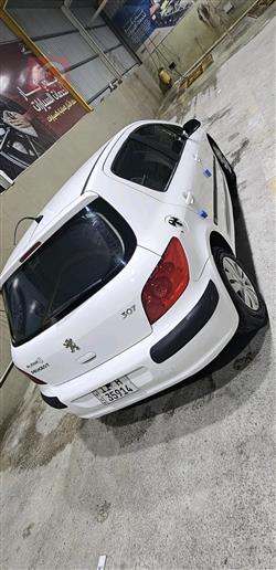 بيجو 307